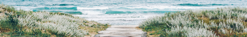 Southern California Beach