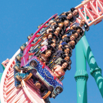 Knotts banner_2