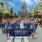 WCV-banner-for-STP