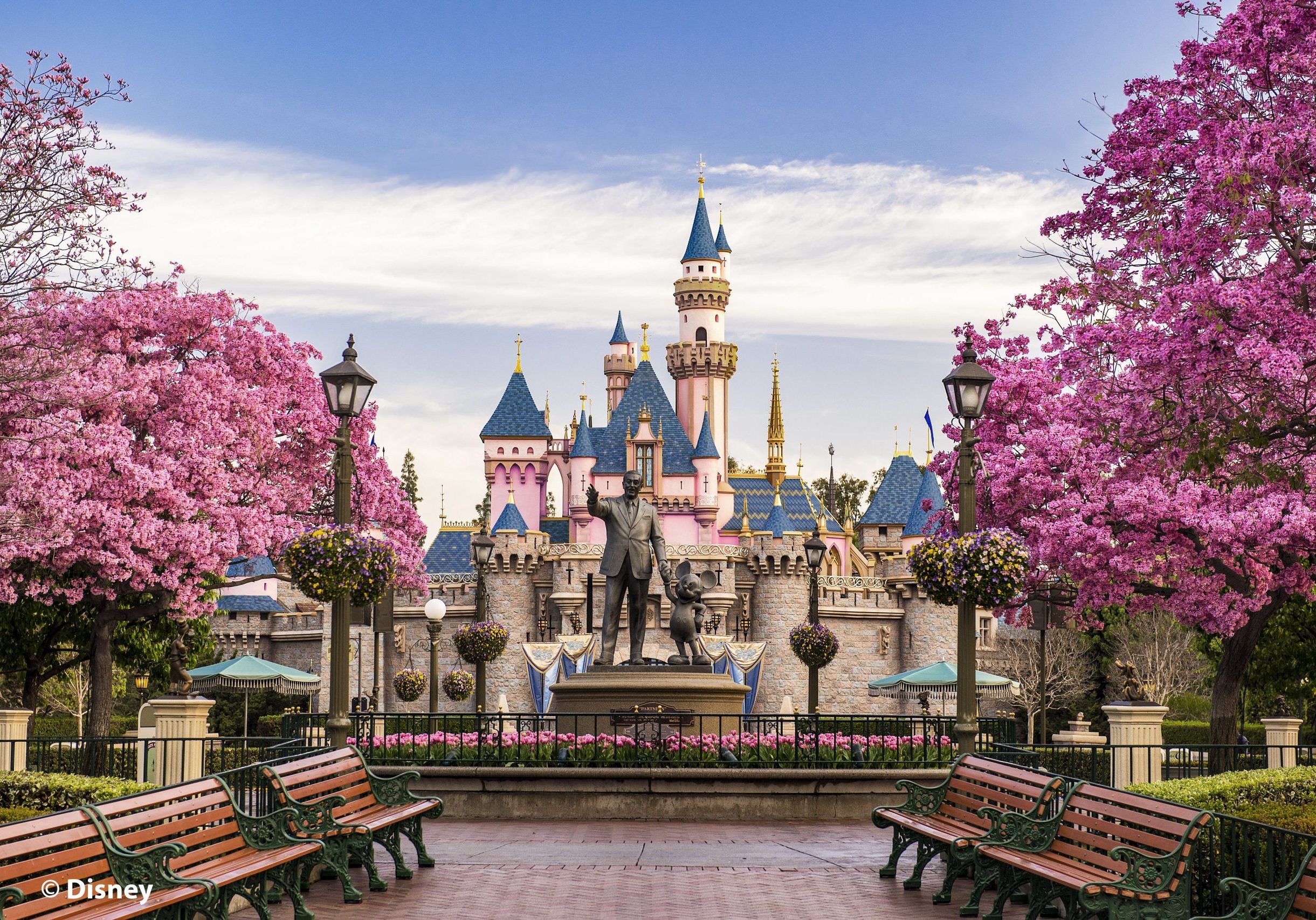 Sleeping-Beauty-Castle
