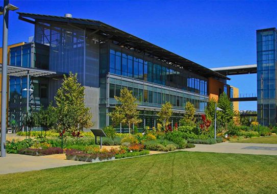 UC Davis