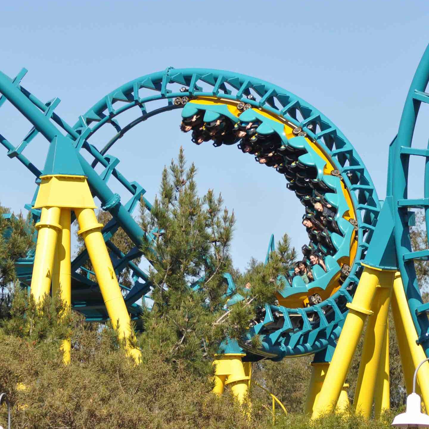 boomerang_1440x1533